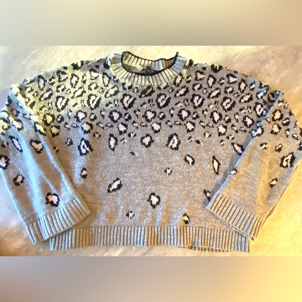 Xl express crop sweater